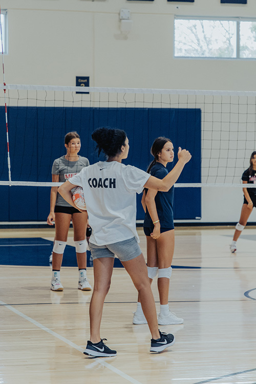 Vb Coach Data – Alpha Sports